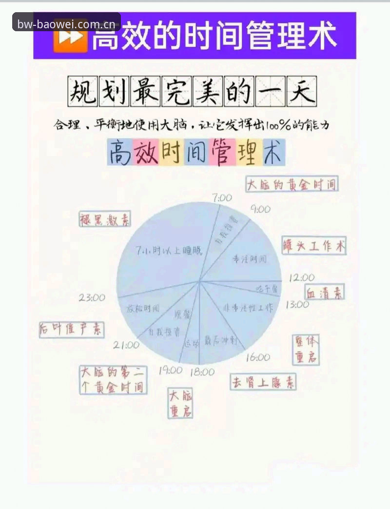 宝威官方app下载功能详解 宝威体育平台功能实用指南:从下载到高效使用的必备知识